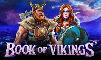 Slot Book of Vikings