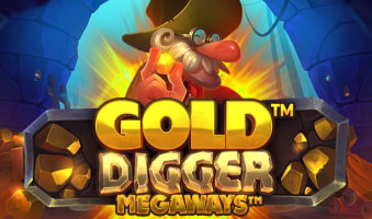 Slot Gold Digger Megaways