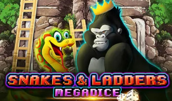 Slot Snakes and Ladders Megadice